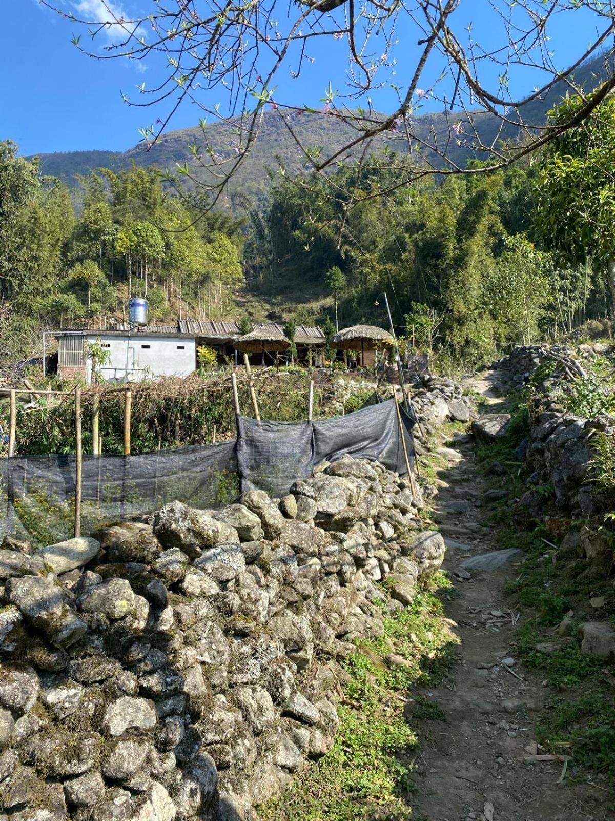 Sue Pa Family Trekking Homestay Sa Pa Ngoại thất bức ảnh