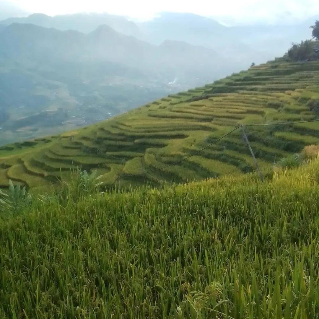 Sue Pa Family Trekking Homestay Sa Pa Ngoại thất bức ảnh